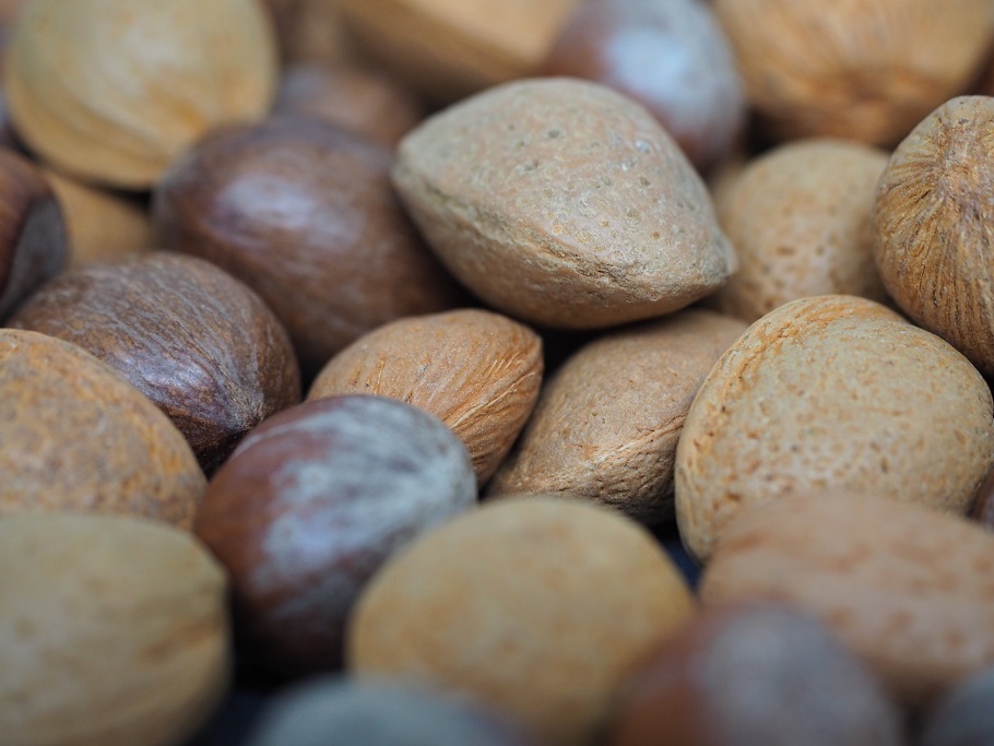 Why you should eat nuts every day